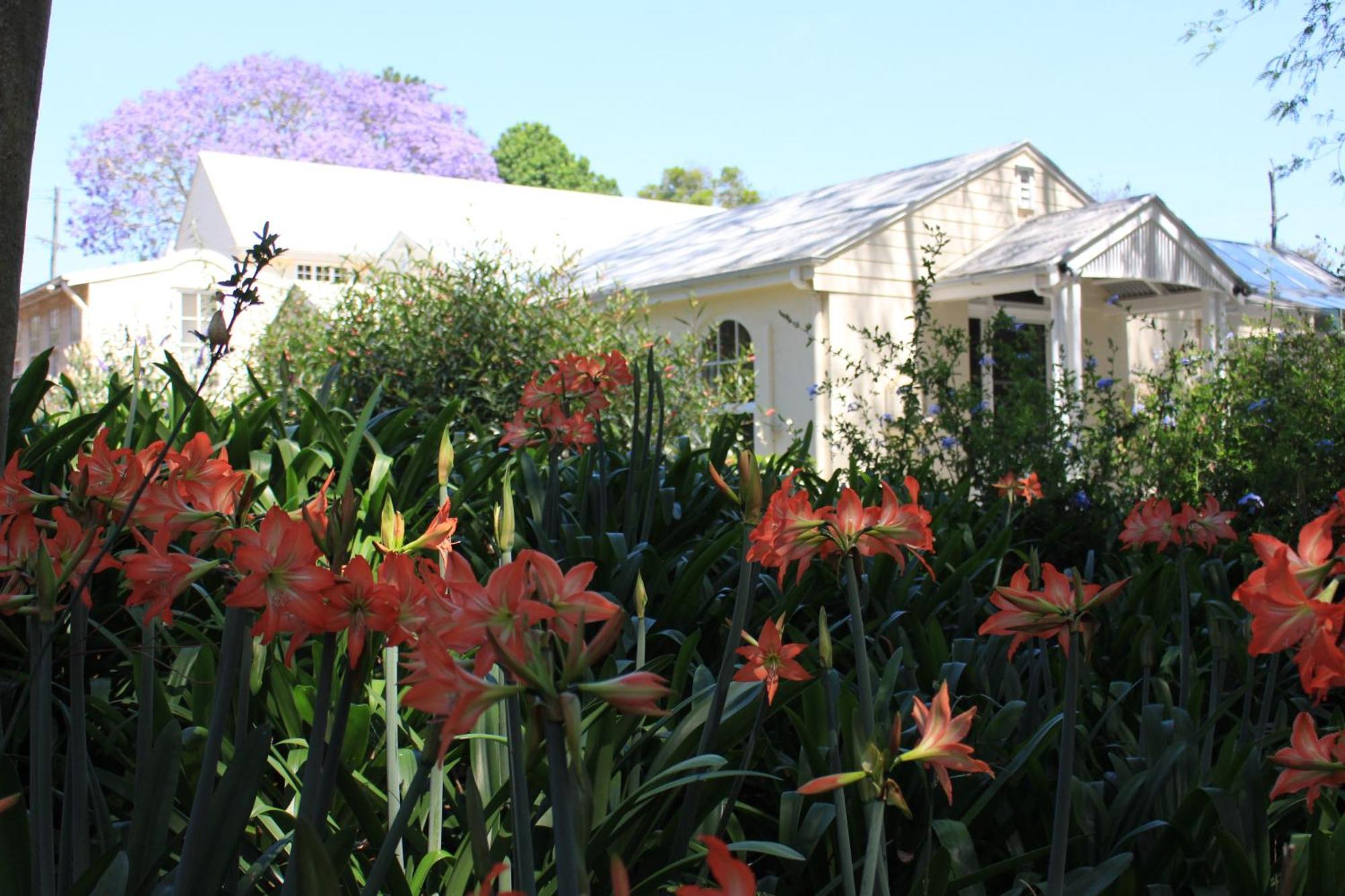 Wintergreen Manor At Maleny Kültér fotó